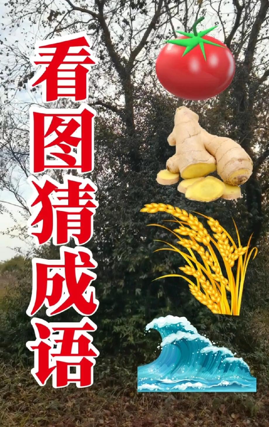  绝了！番茄、姜、稻穗、海浪藏一成语，你能猜到答案吗？