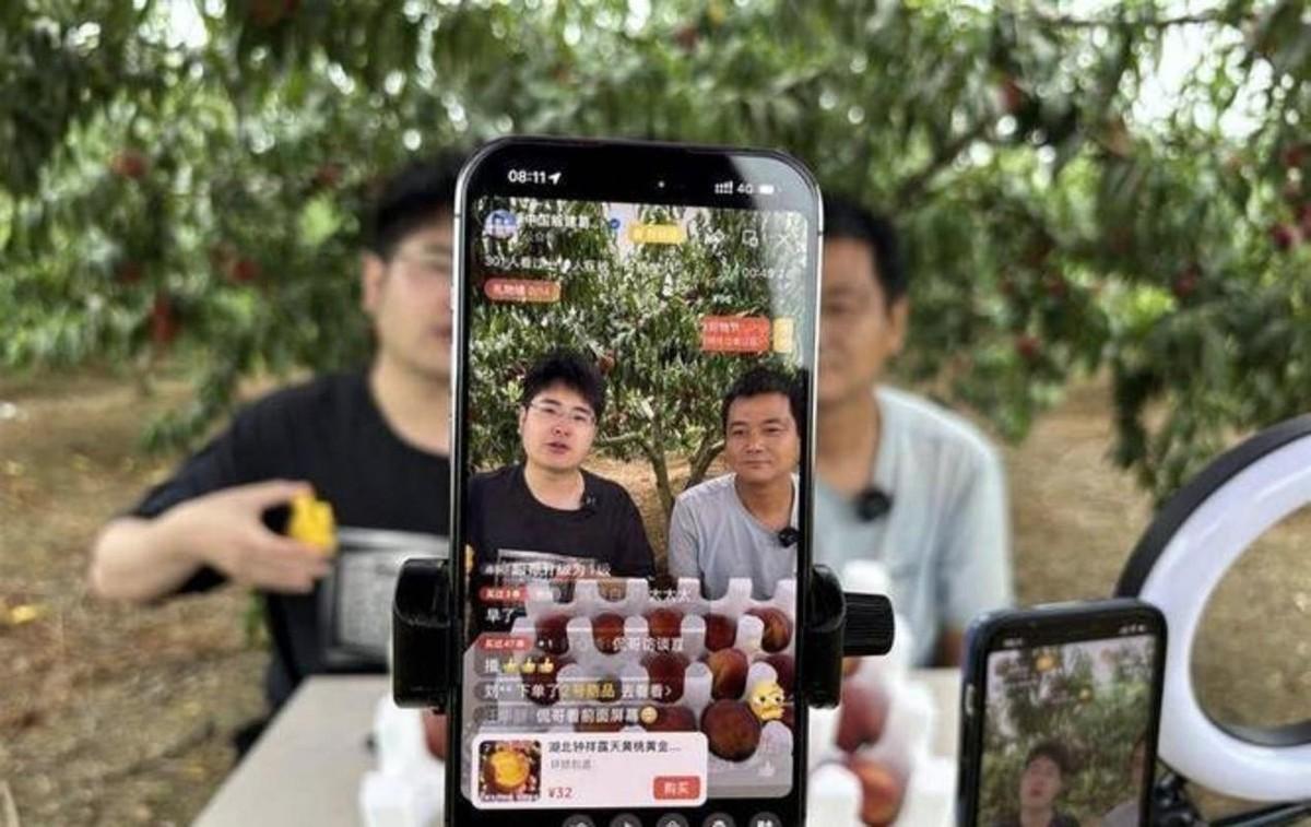 渝乡桃子：桃子新房完全修废？大家纷纷直言：尾款别给了，桃子连忙解释，直言：这只是