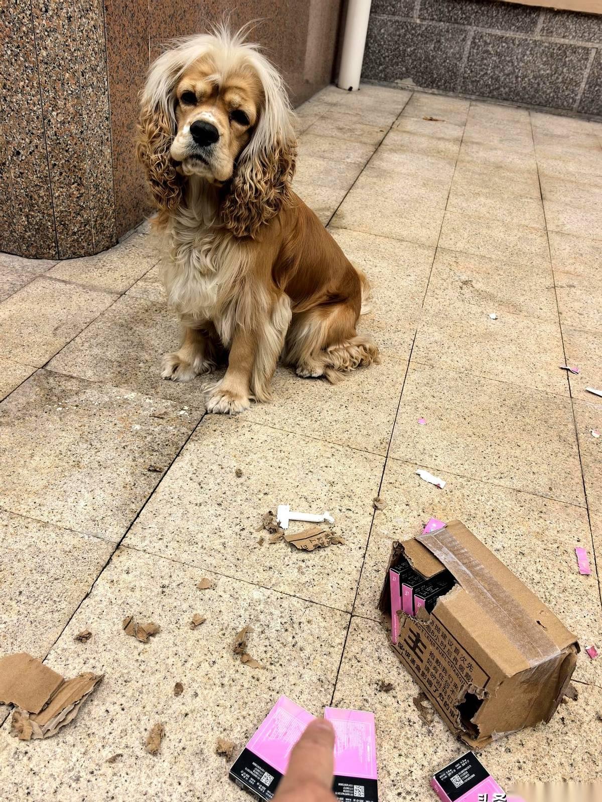 快递小哥一个潇洒的抛物线，我刚下单的宝贝，落地成盒。
字面意义上的，盒。碎的。