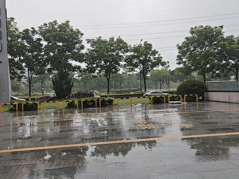 🚨55岁后，最怕这3种“瞬间夺命”病！别等躺进ICU才后悔没养生！

你是不是