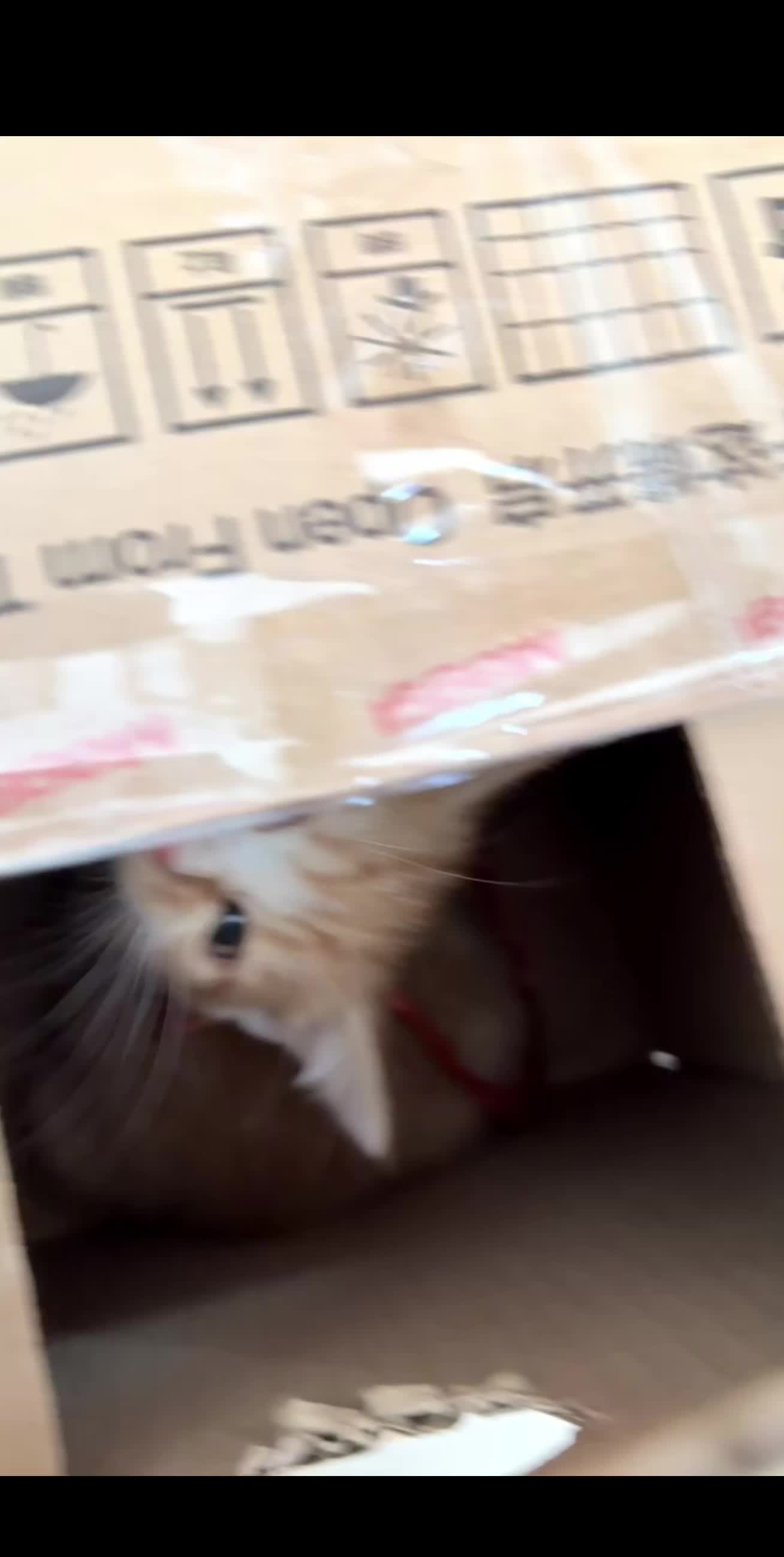 啊啊啊啊啊啊啊