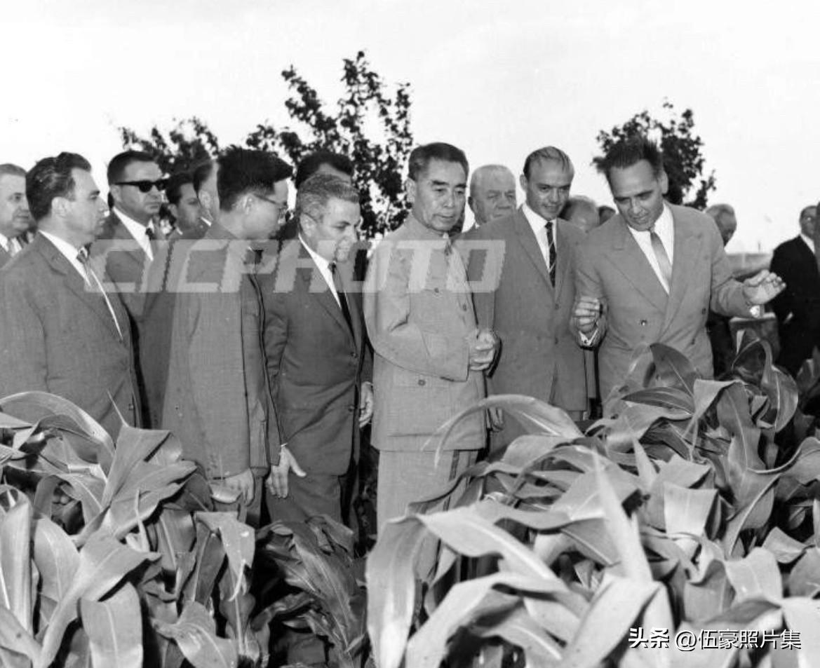 1966年6月18日，罗马尼亚部长会议主席（总理）扬·毛雷尔率领罗马尼亚党政代表