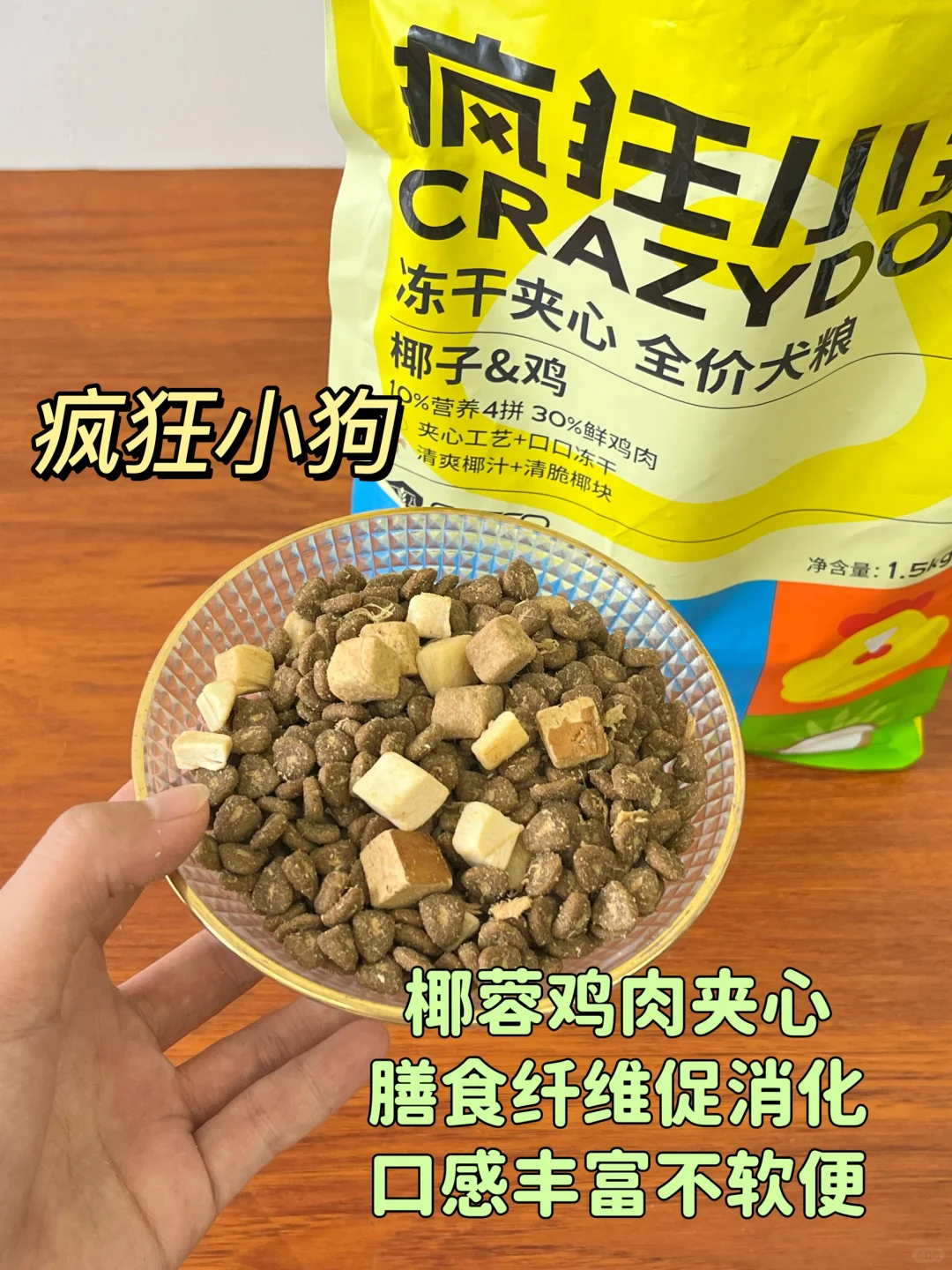 古希腊掌管挑食小狗的神👼被我挖到了！