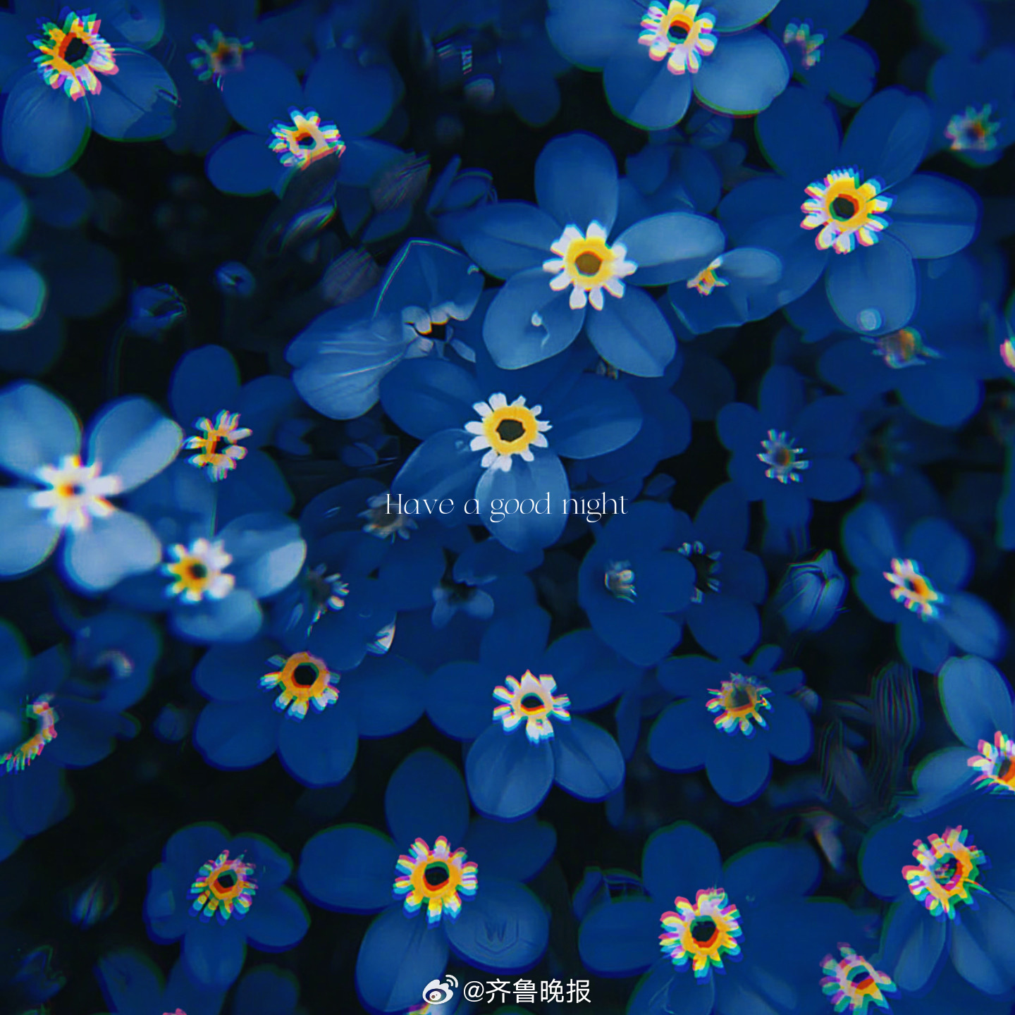 不听世俗的耳语只看自己喜欢的风景[月亮]#晚安# #九月再见# ​​​
