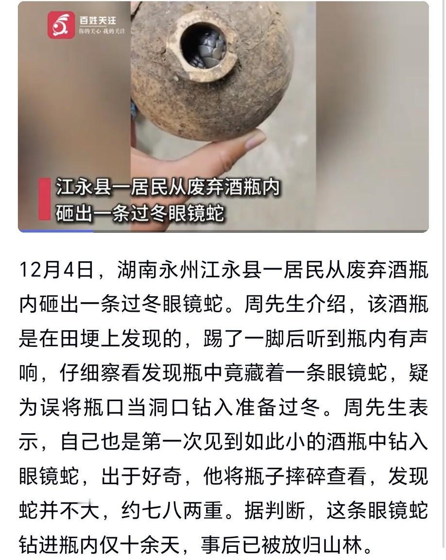 12月4日，湖南永州江永县周先生在田埂边发现个胖腰酒瓶，踢了一脚听到里面有活物动