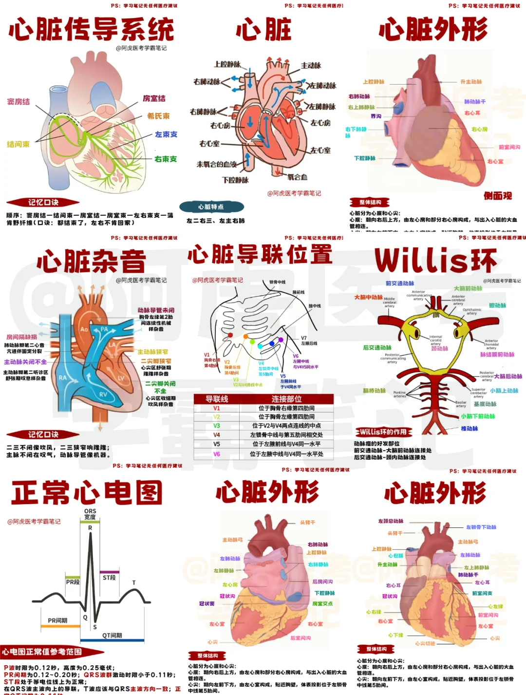 医学生笔记📒｜循环系统大合集👆
