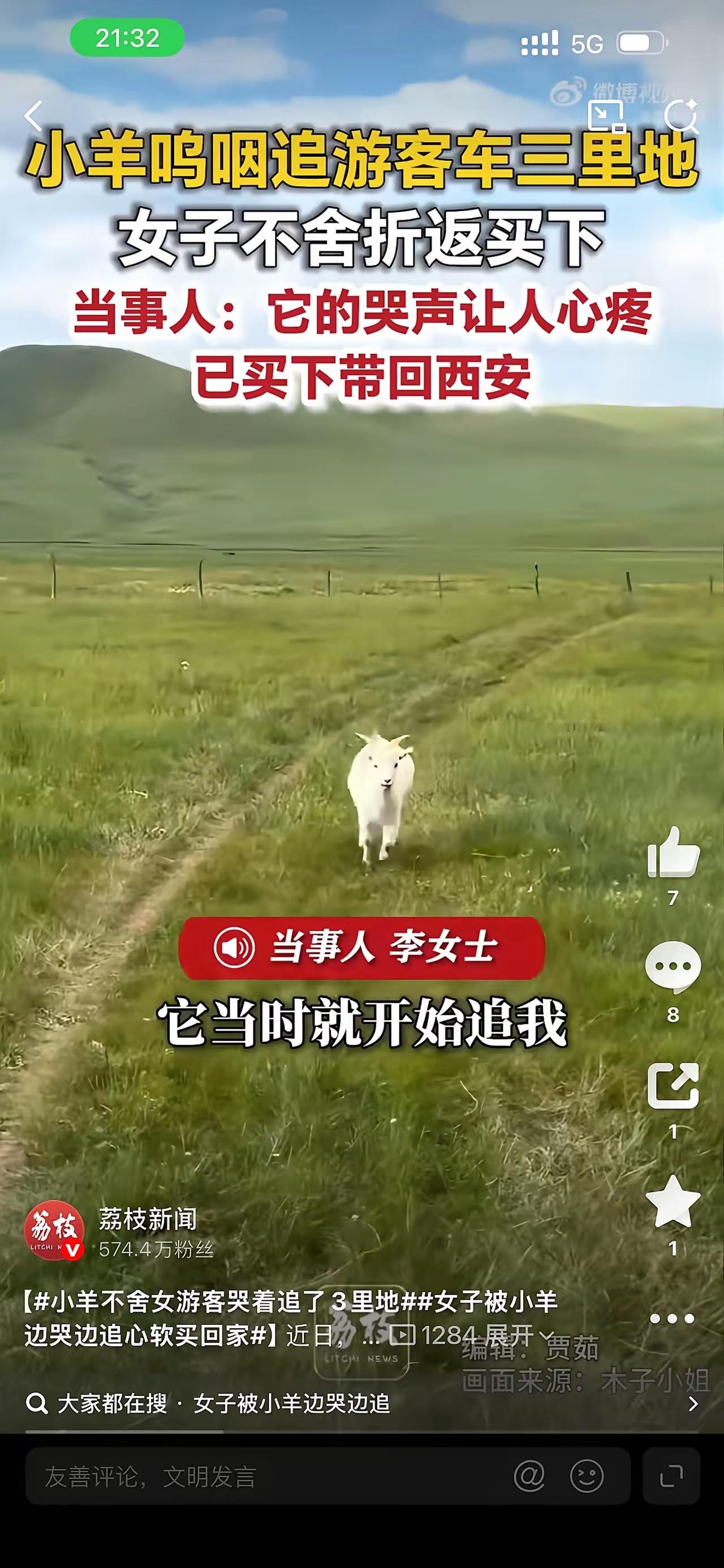 小羊不舍女游客哭着追了3里地，女子被小羊边哭边追心软买回家。

你说这事怪不怪？