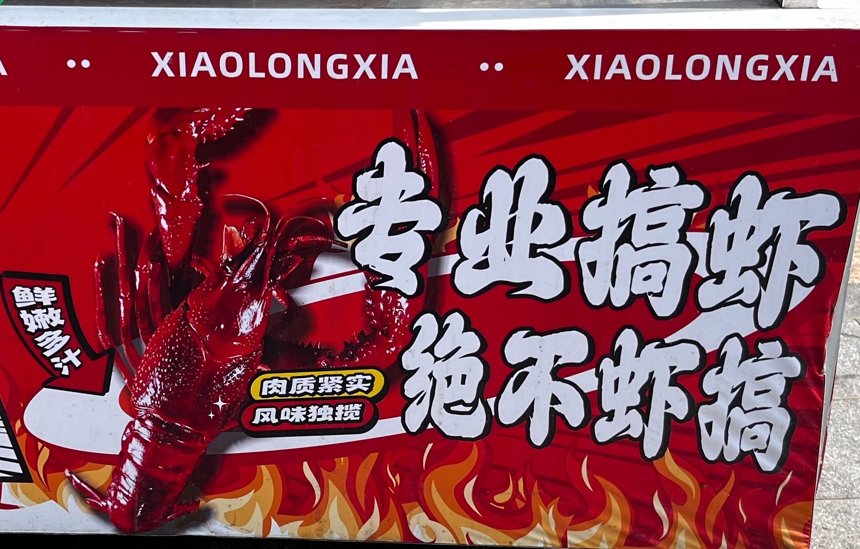 “专业搞虾，绝不虾搞” 