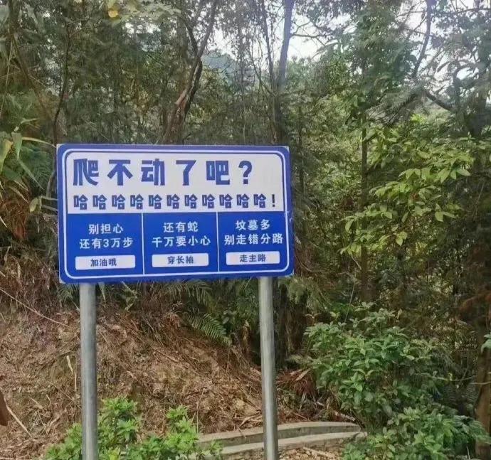 爬不动了吧？哈哈哈哈哈，还有蛇，坟墓也多哦[笑哭][笑哭]