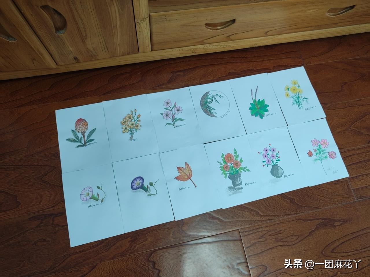 我：老公，我在这儿举办一个画展哈，等下你叠完衣服来参展。
麻团儿：不需要。
我：