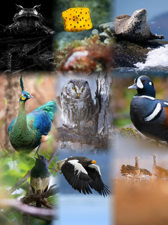 2024，谢谢你们出现在我的镜头里