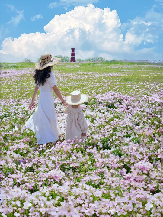 太离谱😭合肥怎么有这么美的地方啊live实况