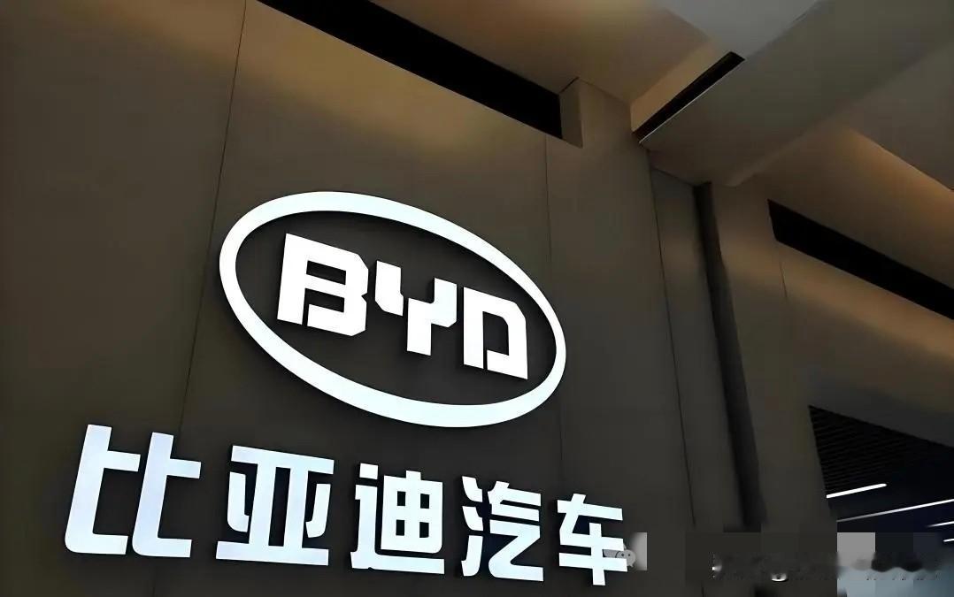 以后的智驾可能就分两种：敢担责兜底的智驾和“打嘴炮”的智驾。
有些车企用嘴巴告诉