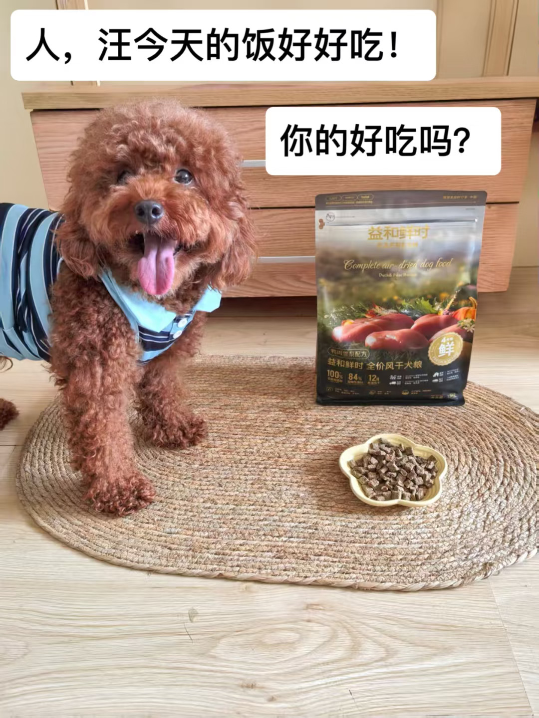 人！汪今天吃大餐！