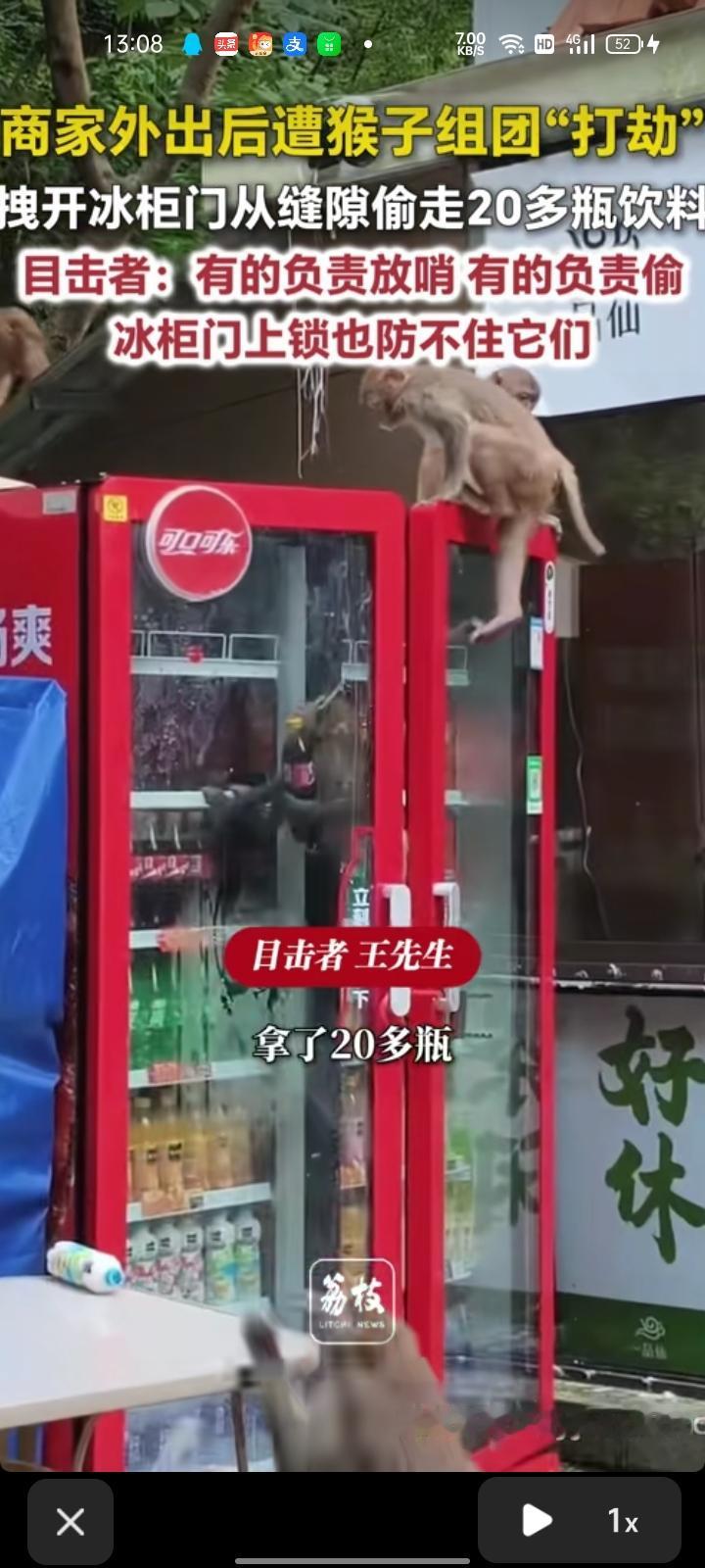 6月19日，贵州贵阳。网友发视频称，商店老板外出后遭猴子组团“打劫”，有的负责放