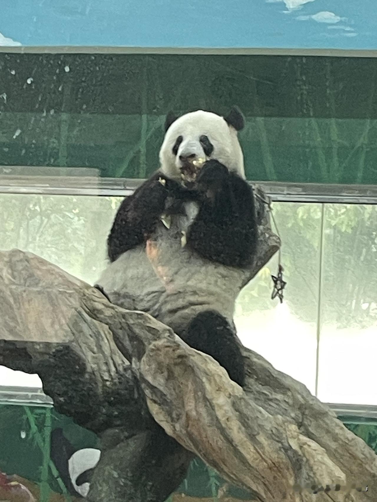 上联：诗书传世远
下联：忠厚继时长