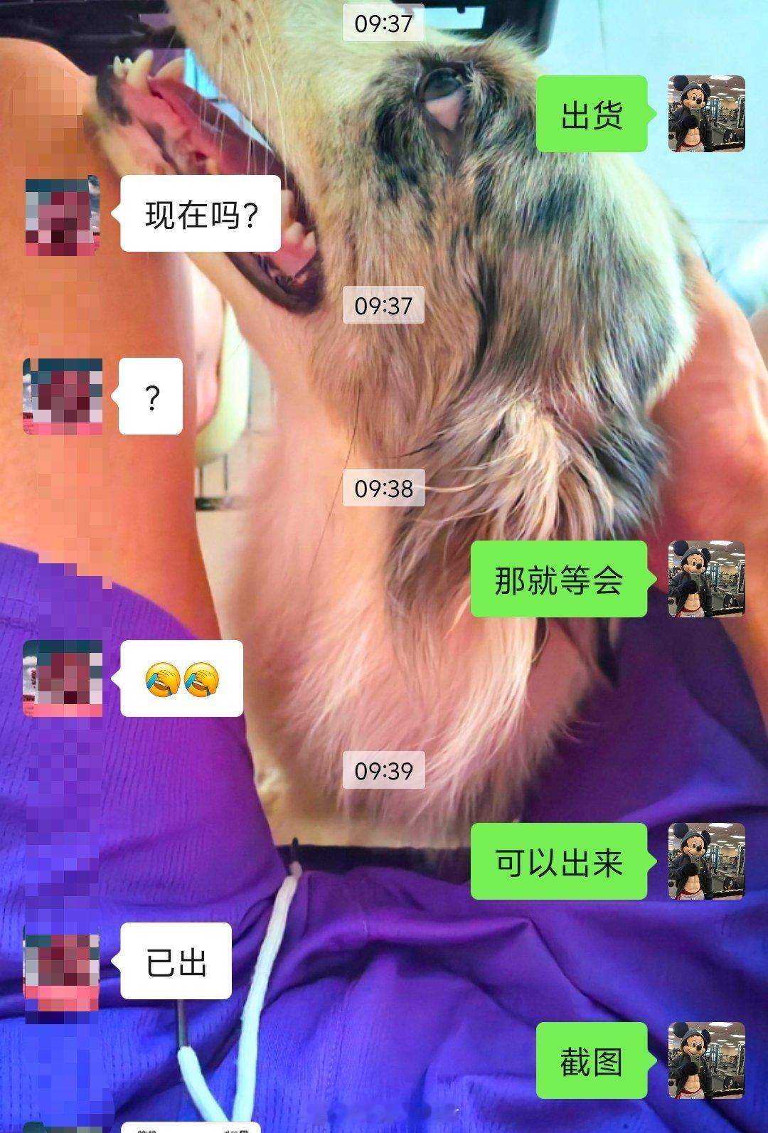 实力见证，恭喜跟上车吃肉的粉丝朋友，168顶一下，感谢大家一如既往的支持🎉🎉