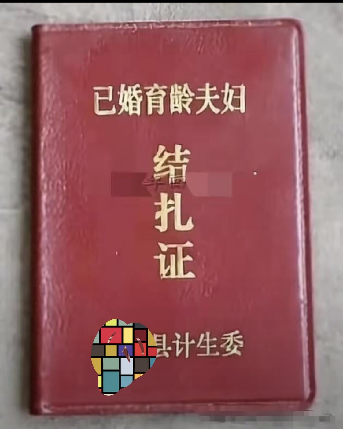 春日生活打卡季