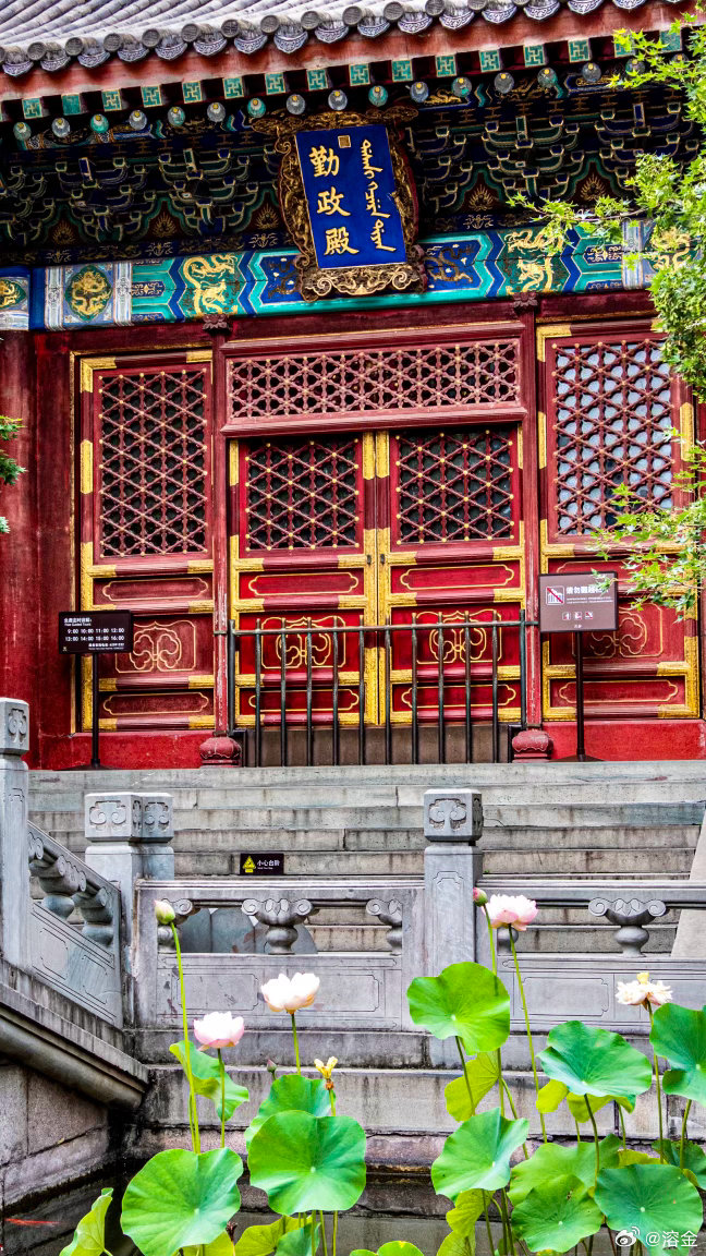 【香山公园 林涧纳凉】叠嶂凝清翠，幽林送晚凉。檐窗藏野色，涧水漱松塘。荷静亭边秀