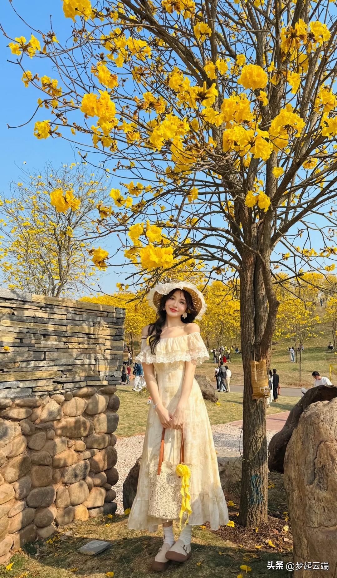 黄色花海中的甜美少女。