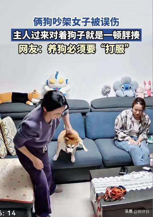 女子被自家狗子狠狠咬伤，怒揍一顿后崩溃大哭！真相让人心疼

🔥紧急！河南一女子
