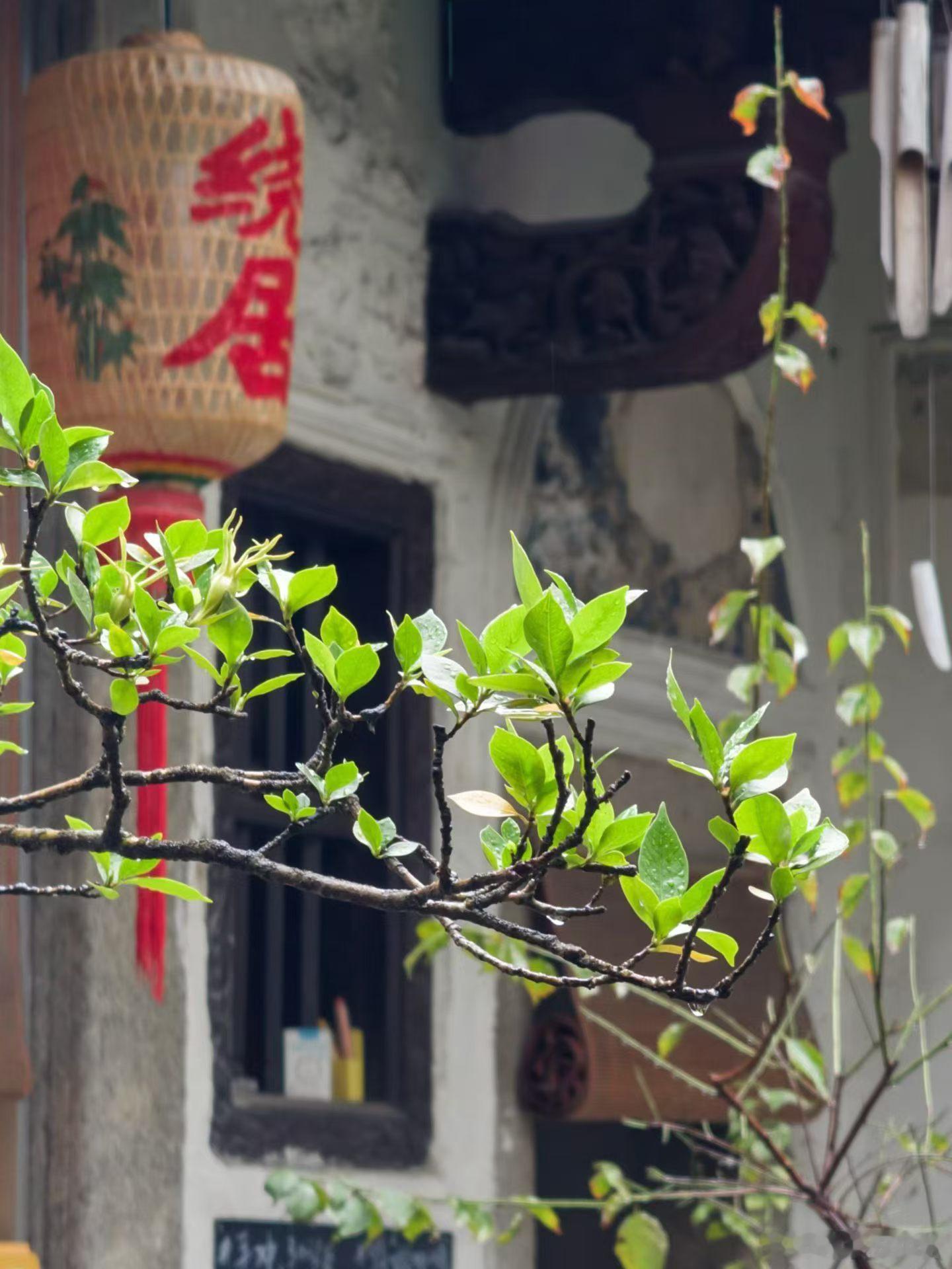森林驿站[超话]每日一善超话阳光信用 生活没有义务满足我们的期望。我们应该接受现