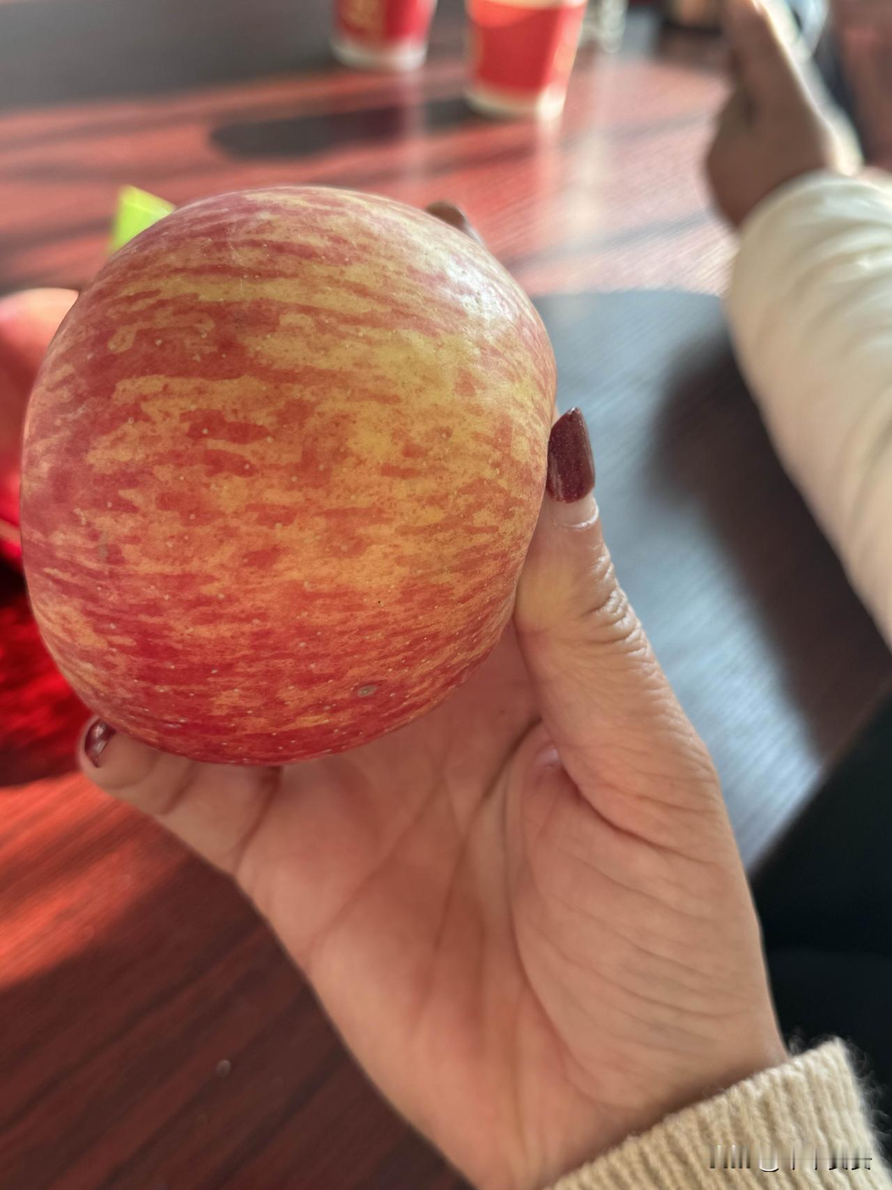 捧一只苹果，温一段日常

晨光里剥一只苹果的皮，果肉的清甜混着木质香漫出来，像把