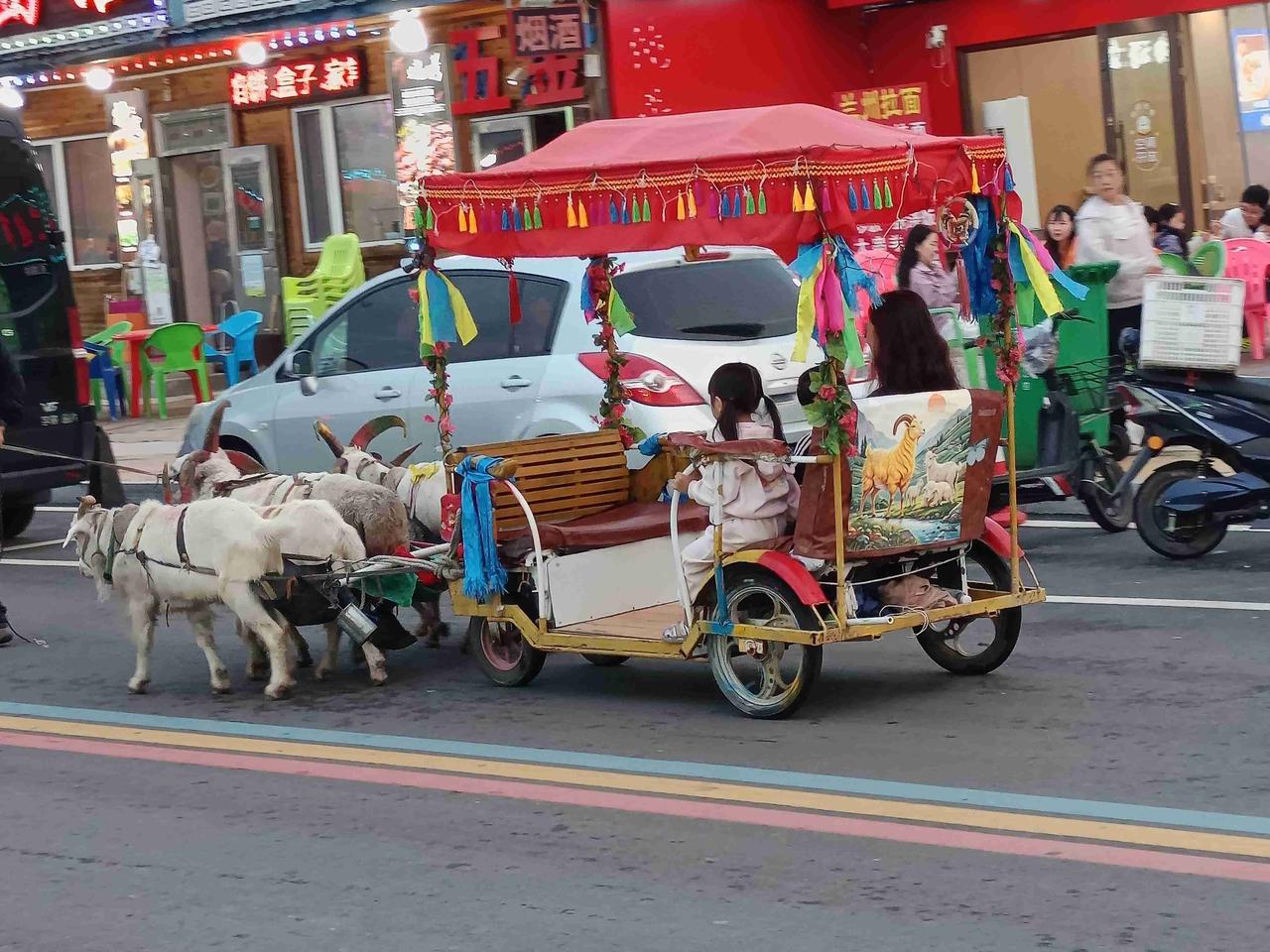 《七绝·五羊拉车》
五羊昂首角弓弯，拉得雕车过市阛。
忽至蒙兀室韦地，方知风物换