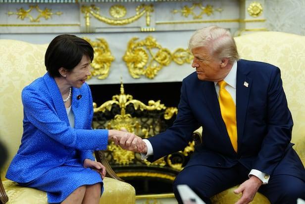 老特与苗苗有一个非常大的共同点，友友们，你们知道是什么吗？？？