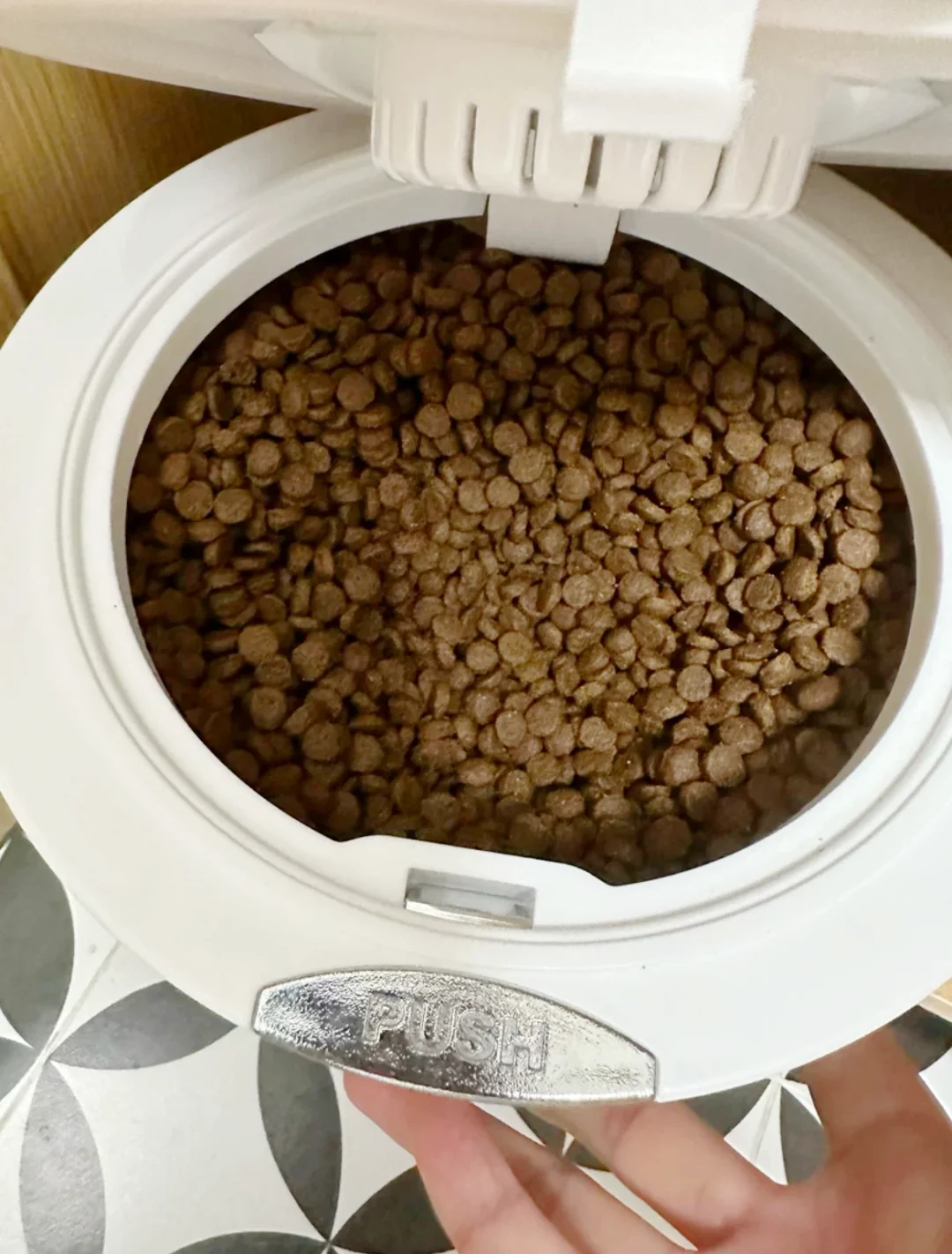 挑食小猫换粮法米娜三天，就是这样....