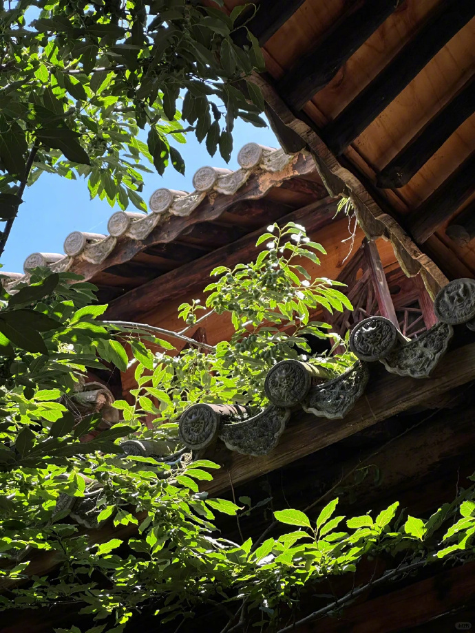 竹椅，蝉鸣，西瓜，光影，一整夏童年的味道。 
