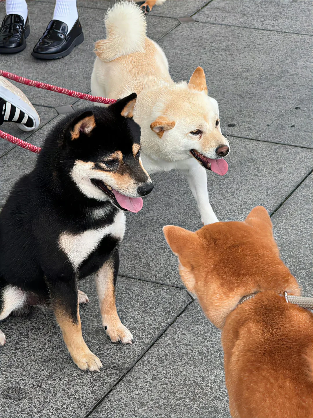 出来聚会啦！