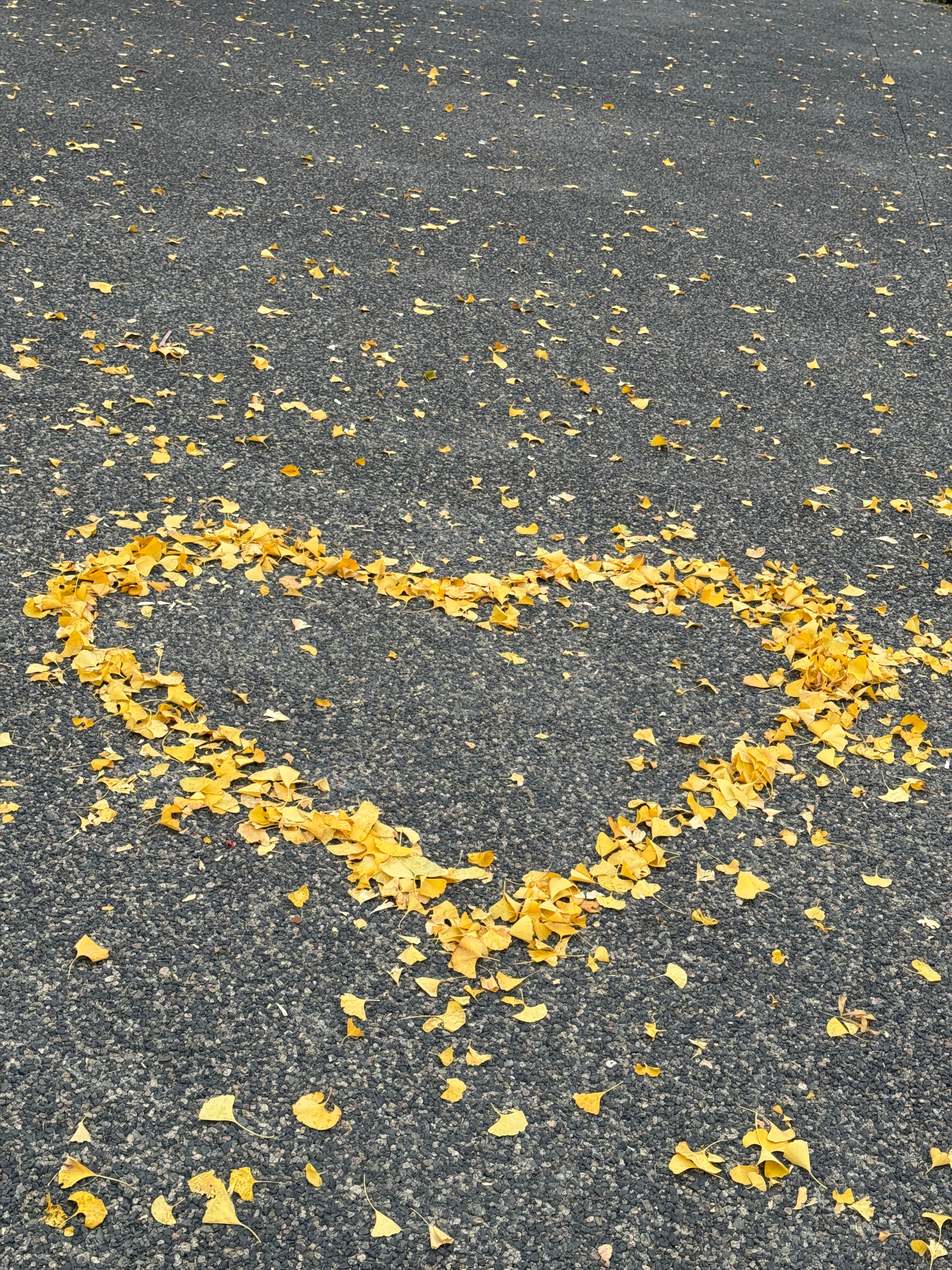 我感觉有点不舒服不知道是不是感冒了，但是又没有症状，就是头疼这几天就光睡觉了💤