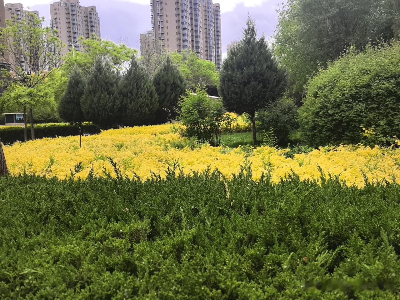 春日生活打卡季风漫林间，春光漫染人间。慢下来感受草木新生，烟火温柔，在细碎美好里
