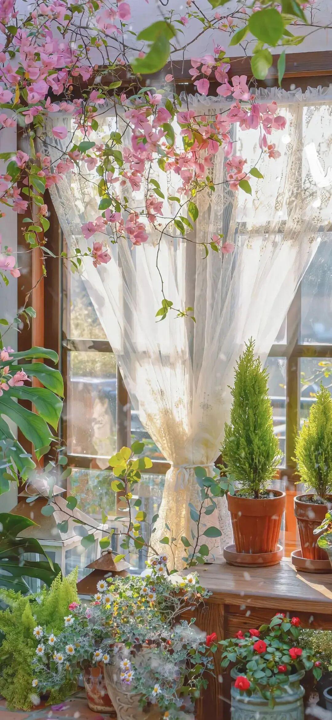 雨是云的泪，云是天的留白，天地之间，本就是一场盛大的抒情。——简媜早安