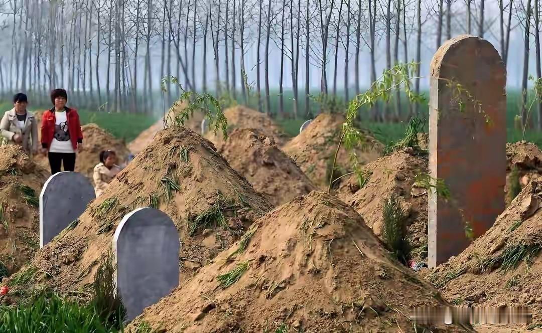 不是迷信，2026年清明不一般，提醒大家：上坟牢记5人不去，3人必去。
 
20