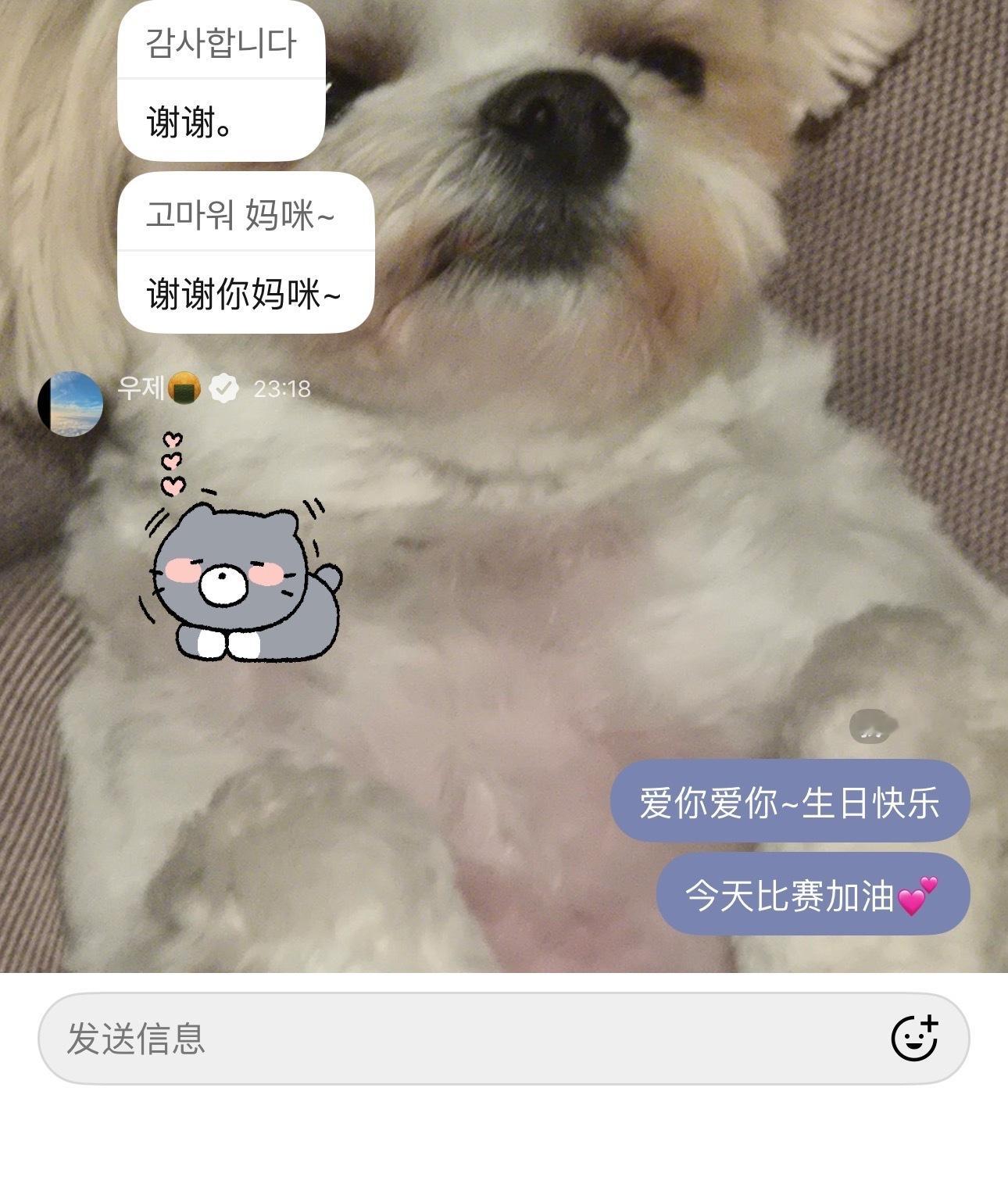 世界上不能没有治愈我的这只猪.. 