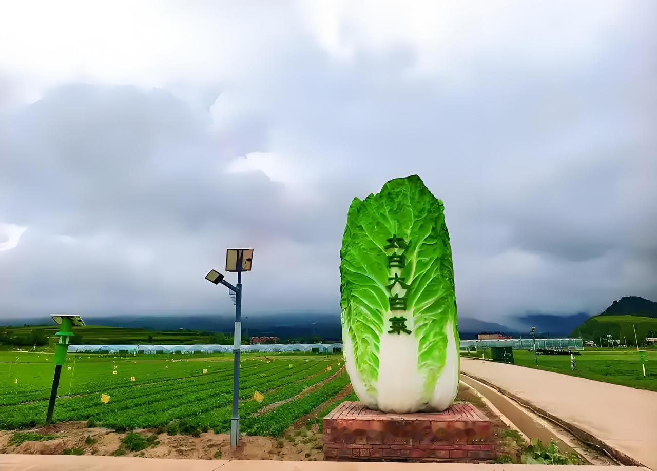 农民朋友看过来，你那里有没有龙头企业？农民挣钱要稳当，各自为政、零敲碎打是不行的