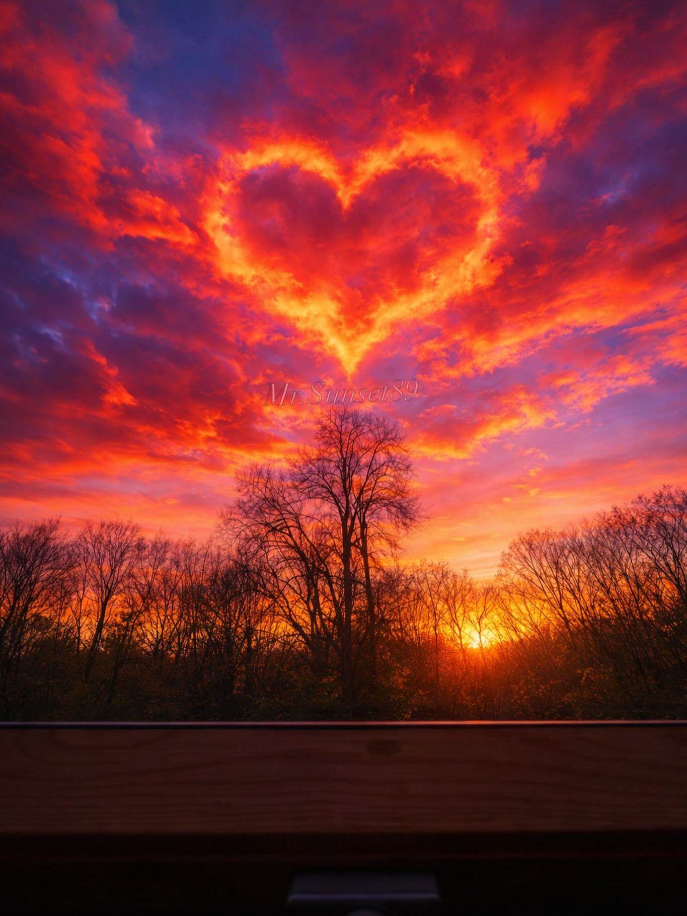 把平凡的日子过出光芒，让努力的自己不负时光 ——这就是最好的人生。早安！早安心语
