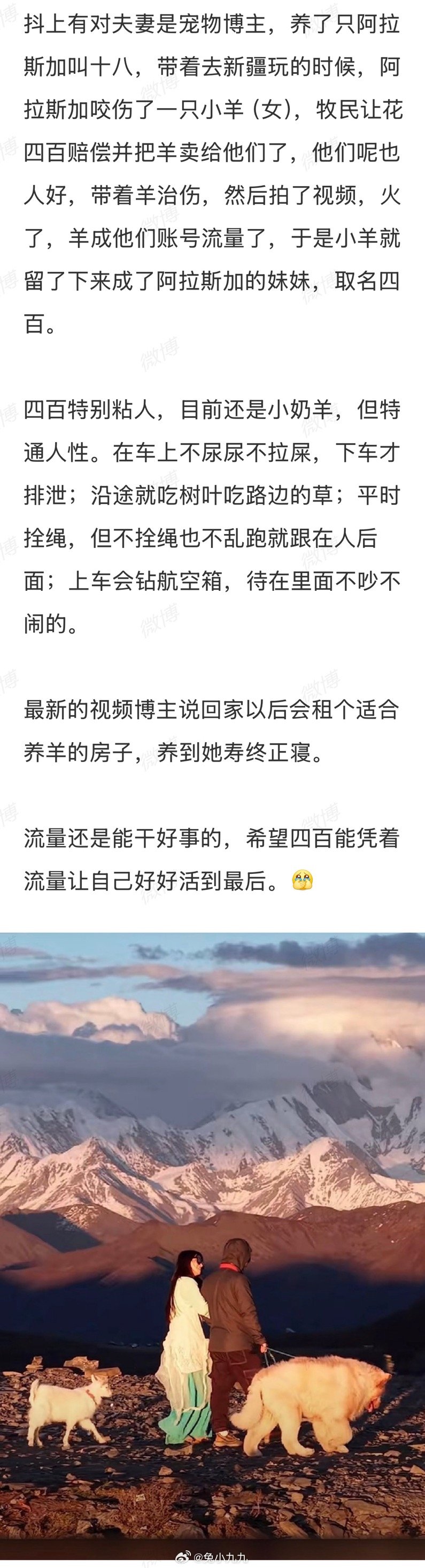 哎，养一个两个的都成宠物博主了，养50多个的，没人看猫狗都。星座小九九