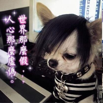 分享图片 