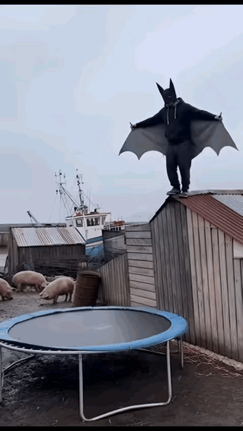 跳下来的时候，看起来非常潇洒，但是弹起来落下去的时候，看起来又非常的狼狈，这东西