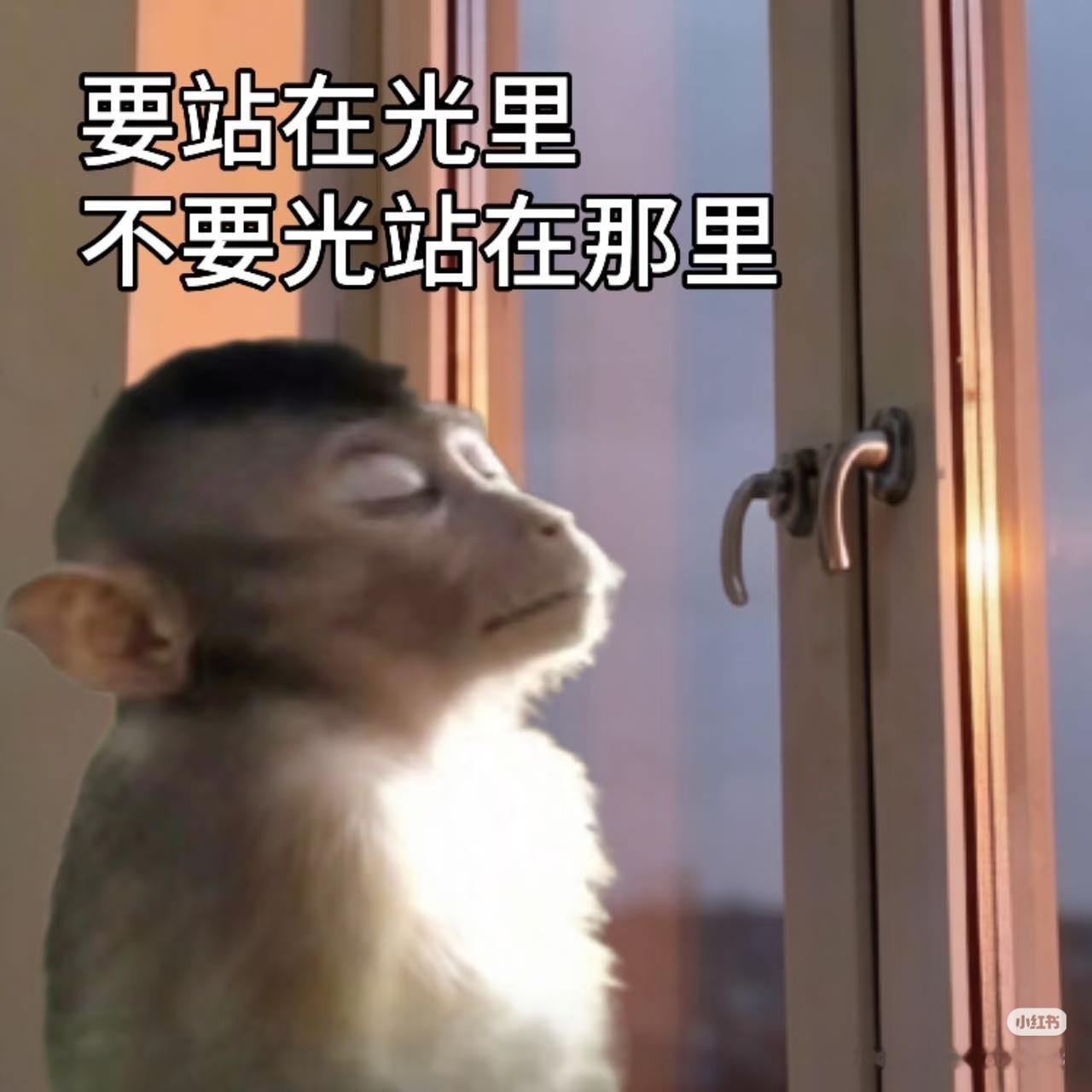 哪个数字最惹大家生气？答：   数字“一”，因为一汽（气）大众。 