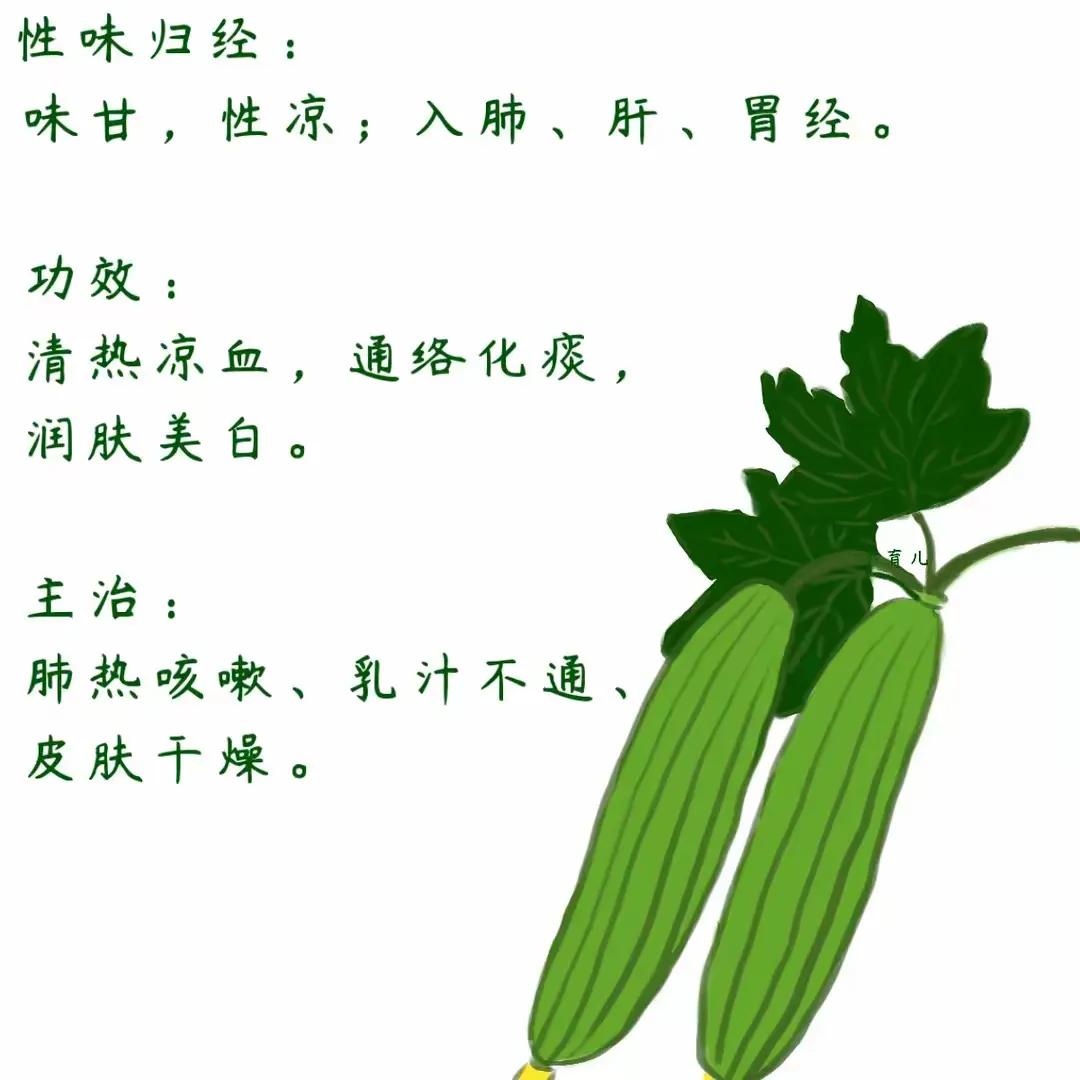 清热、凉血、化痰
《本草纲目》记载:“丝瓜液有通经络，行血脉之功，用以洗面大去垢