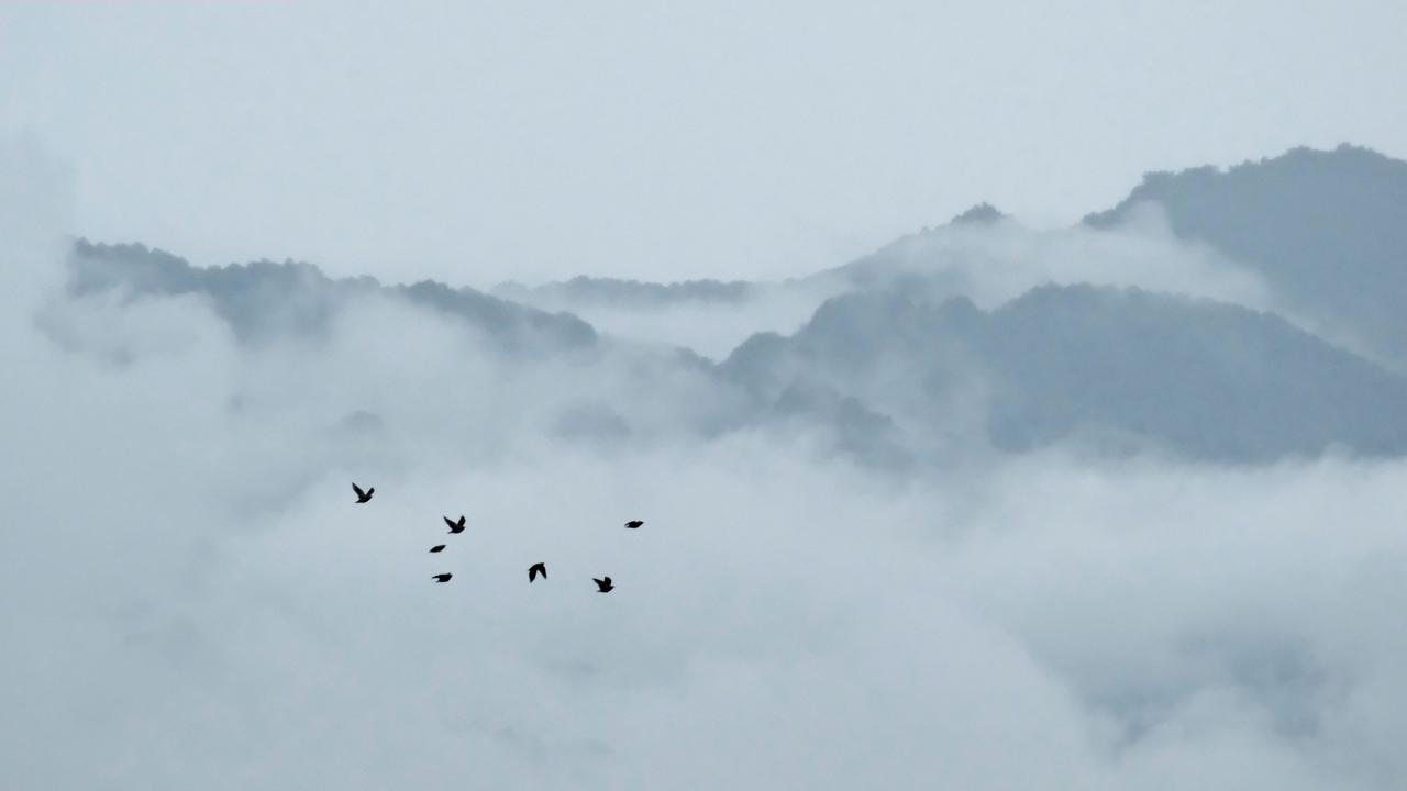 陈仓烟雨云雾缭绕人间仙境 自然风光 每一帧都是热爱