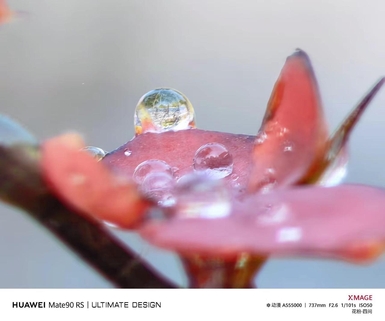 华为Mate90 RS镜头里的雨珠。Mate一起发光吧  Mate90系列