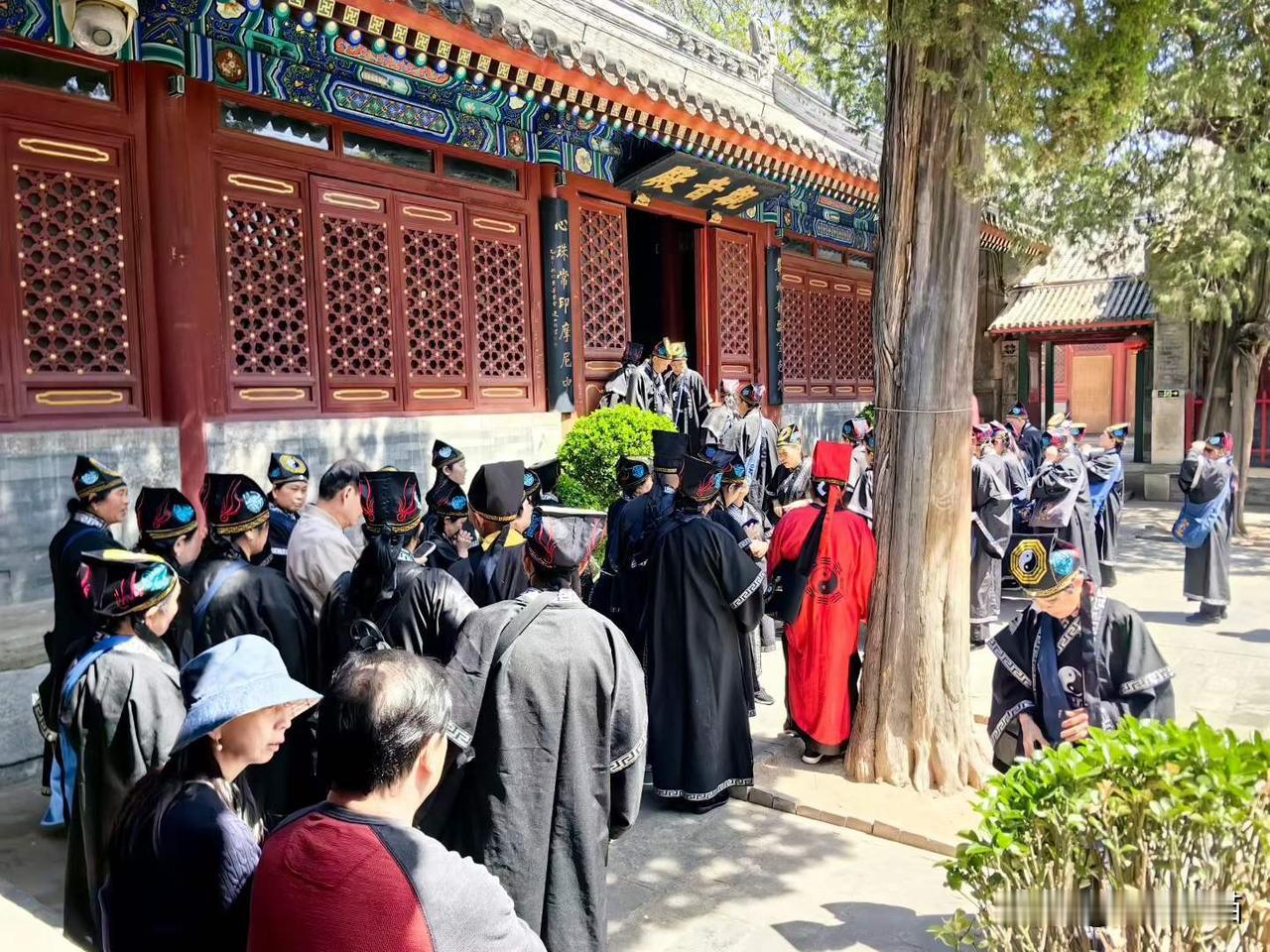 北京春意盎然（七）
 ——法源寺的丁香花
法源寺是北京最古老的名刹之一，也是中国