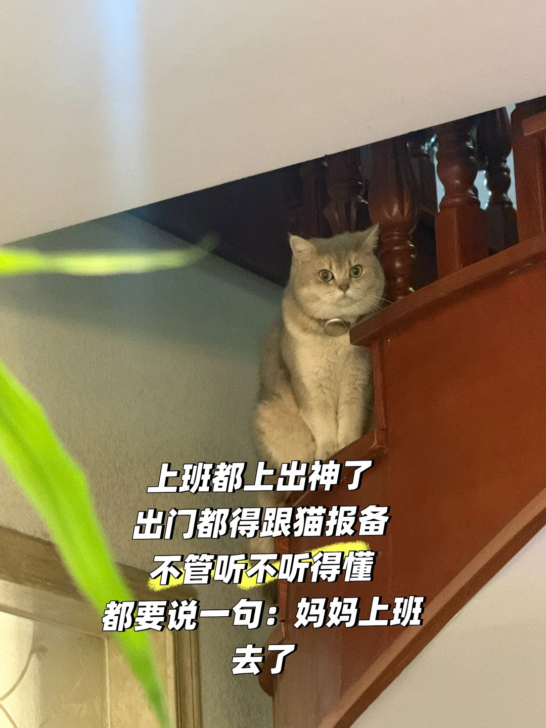 每次出门都报备 你家也这样吗？