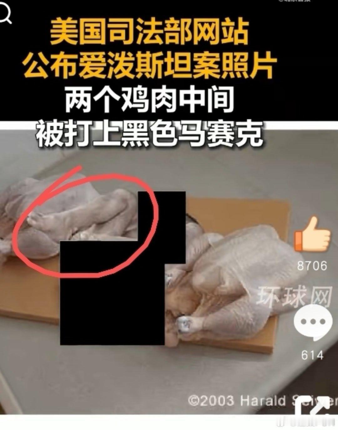 爱泼斯坦案视频曝光 网上流传的这张图是假的，是在2003年的艺术创作，德国艺术家