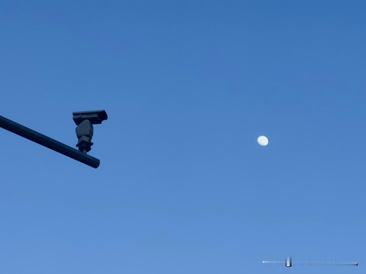 《守望》
友友帮我取个更贴切的名字吧🙏